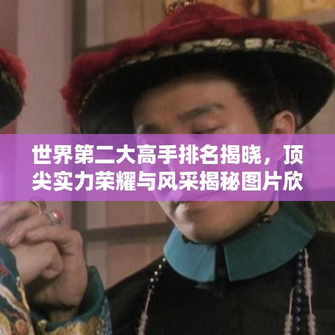 世界第二大高手排名揭晓,顶尖实力荣耀与风采揭秘图片欣赏