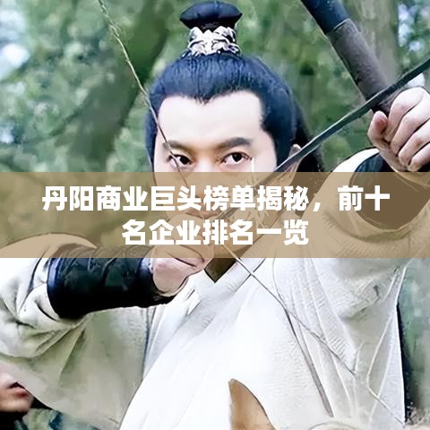 丹阳商业巨头榜单揭秘，前十名企业排名一览