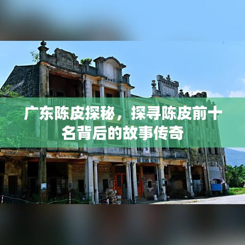 广东陈皮探秘,探寻陈皮前十名背后的故事传奇
