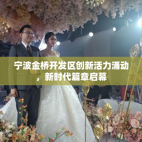 宁波金桥开发区创新活力涌动，新时代篇章启幕