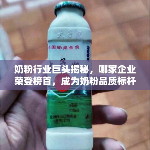 奶粉行业巨头揭秘，哪家企业荣登榜首，成为奶粉品质标杆？