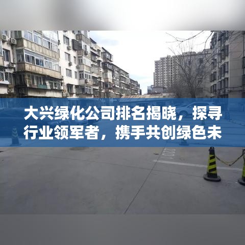 大兴绿化公司排名揭晓，探寻行业领军者，携手共创绿色未来