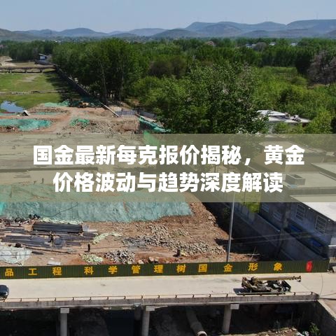国金最新每克报价揭秘，黄金价格波动与趋势深度解读