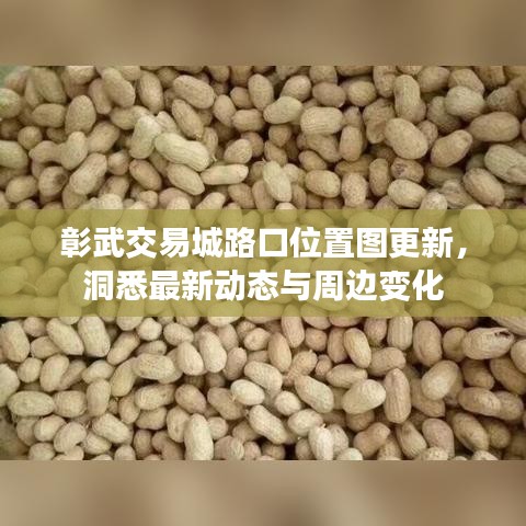 彰武交易城路口位置图更新,洞悉最新动态与周边变化