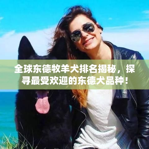 全球东德牧羊犬排名揭秘，探寻最受欢迎的东德犬品种！
