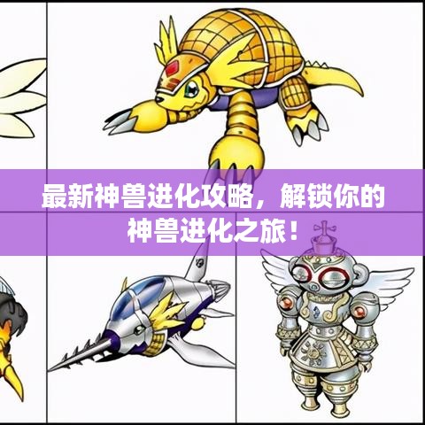 最新神兽进化攻略，解锁你的神兽进化之旅！