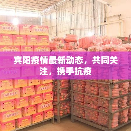 宾阳疫情最新动态，共同关注，携手抗疫