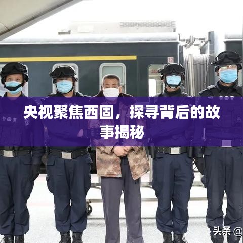 央视聚焦西固，探寻背后的故事揭秘