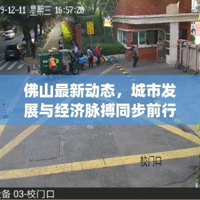佛山最新动态,城市发展与经济脉搏同步前行