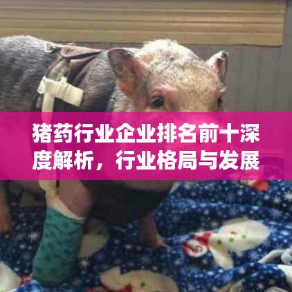 猪药行业企业排名前十深度解析，行业格局与发展趋势展望