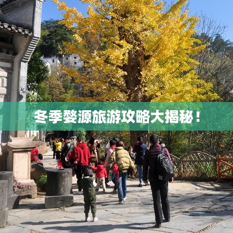 冬季婺源旅游攻略大揭秘！