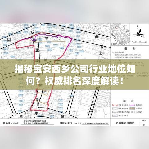 揭秘宝安西乡公司行业地位如何？权威排名深度解读！