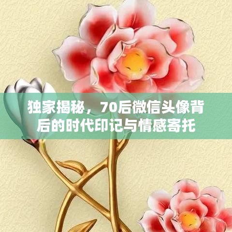 独家揭秘,70后微信头像背后的时代印记与情感寄托