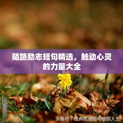 陌路励志短句精选，触动心灵的力量大全