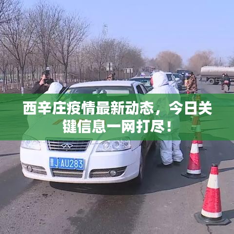 西辛庄疫情最新动态，今日关键信息一网打尽！