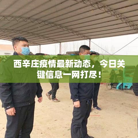 西辛庄疫情最新动态,今日关键信息一网打尽!