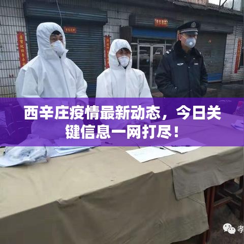 西辛庄疫情最新动态,今日关键信息一网打尽!