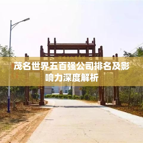 茂名世界五百强公司排名及影响力深度解析