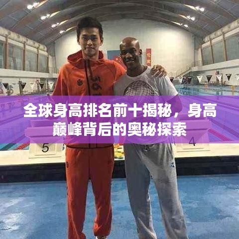 全球身高排名前十揭秘，身高巅峰背后的奥秘探索