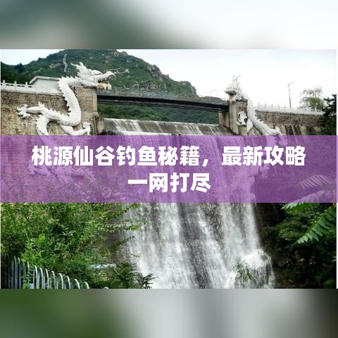 桃源仙谷钓鱼秘籍，最新攻略一网打尽