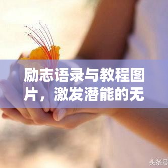 励志语录与教程图片，激发潜能的无限力量之源