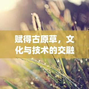 赋得古原草,文化与技术的交融之美探索
