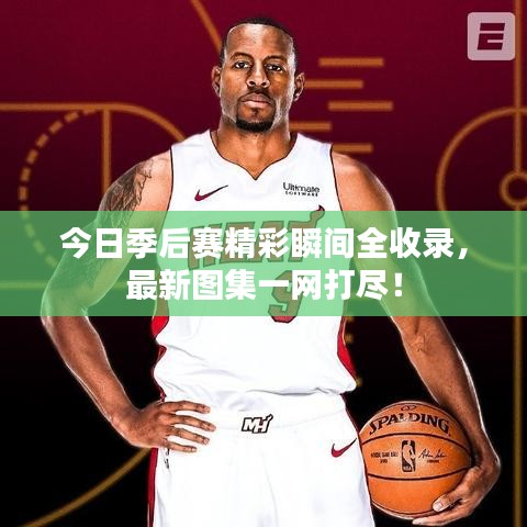 今日季后赛精彩瞬间全收录,最新图集一网打尽!