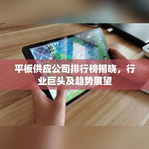 平板供应公司排行榜揭晓，行业巨头及趋势展望