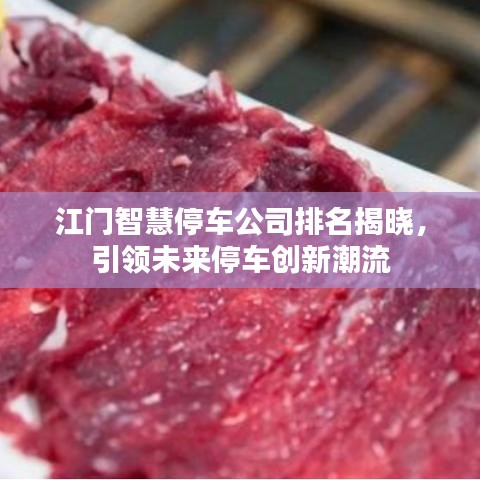 江门智慧停车公司排名揭晓，引领未来停车创新潮流