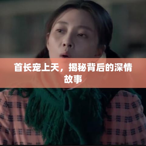 首长宠上天，揭秘背后的深情故事