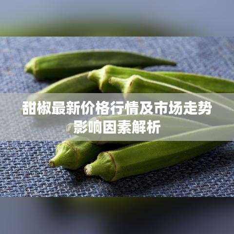 甜椒最新价格行情及市场走势影响因素解析