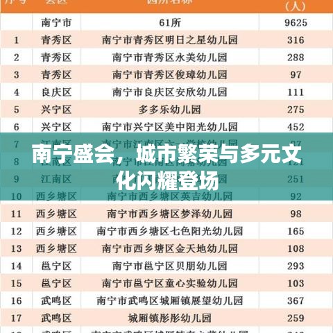 南宁盛会,城市繁荣与多元文化闪耀登场
