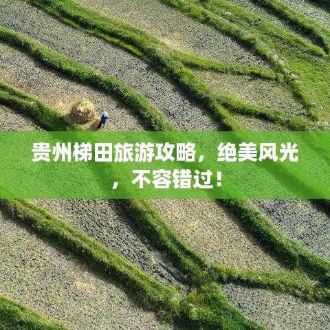 贵州梯田旅游攻略，绝美风光，不容错过！