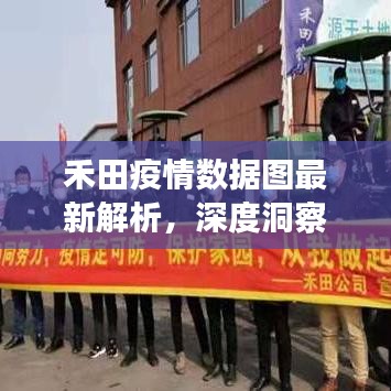 禾田疫情数据图最新解析，深度洞察，全面掌握最新动态