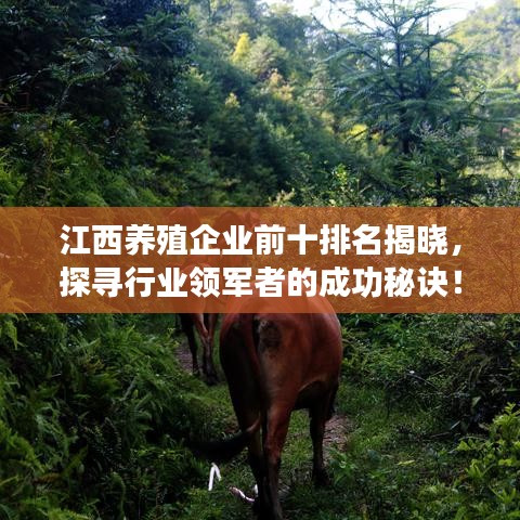 江西养殖企业前十排名揭晓,探寻行业领军者的成功秘诀!