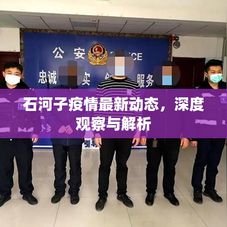 石河子疫情最新动态，深度观察与解析