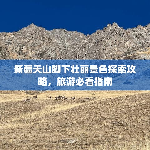 新疆天山脚下壮丽景色探索攻略,旅游必看指南