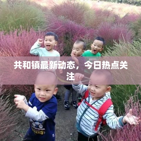 共和镇最新动态,今日热点关注