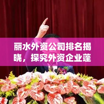 丽水外资公司排名揭晓，探究外资企业蓬勃发展态势