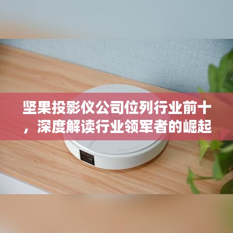 坚果投影仪公司位列行业前十，深度解读行业领军者的崛起之路