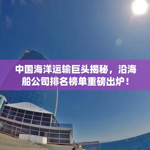 中国海洋运输巨头揭秘,沿海船公司排名榜单重磅出炉!