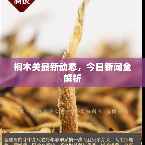 欣喜若狂 第6页