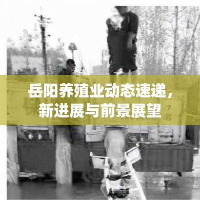 岳阳养殖业动态速递，新进展与前景展望