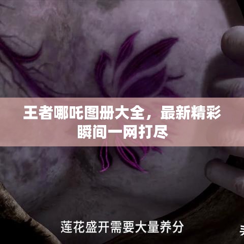 王者哪吒图册大全，最新精彩瞬间一网打尽