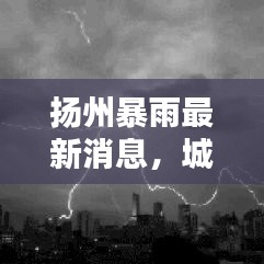 扬州暴雨最新消息，城市应对策略与防范措施全面解析