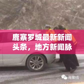 鹿寨罗城最新新闻头条，地方新闻脉搏探寻
