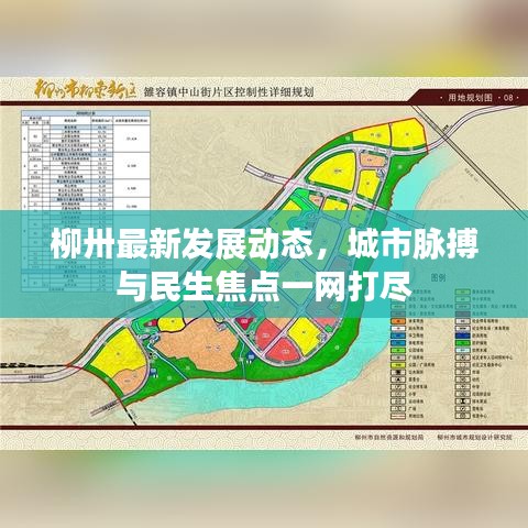 柳卅最新发展动态，城市脉搏与民生焦点一网打尽