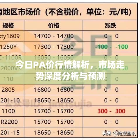 今日PA价行情解析，市场走势深度分析与预测
