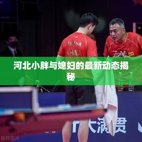 河北小胖与媳妇的最新动态揭秘