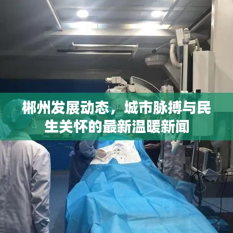 郴州发展动态，城市脉搏与民生关怀的最新温暖新闻